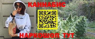 амф Дубна