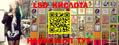 ПСИЛОЦИБИНОВЫЕ ГРИБЫ Заволжье