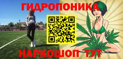 амф Дубна