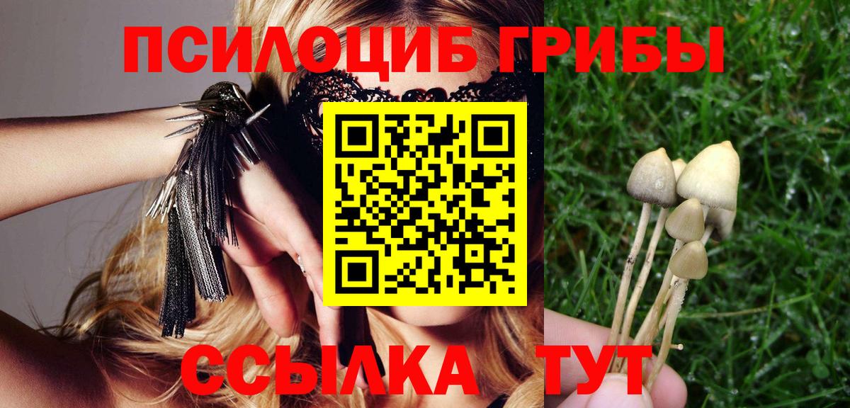 Псилоцибиновые грибы мухоморы  Вход с VPN  Луховицы 